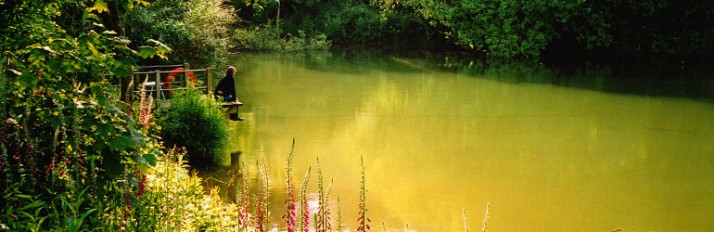 0000027443_header_new2