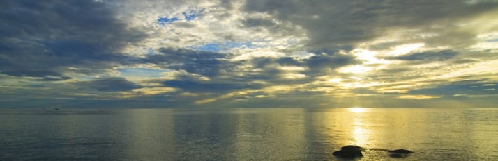 0000012588_WGOOBF_HEADER