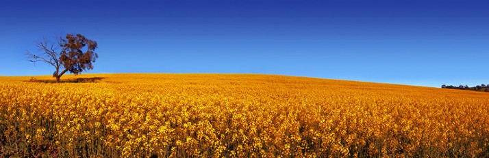 0000031188_ISTOCK2243684Header3