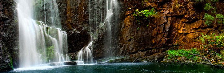 0000029783_Header2