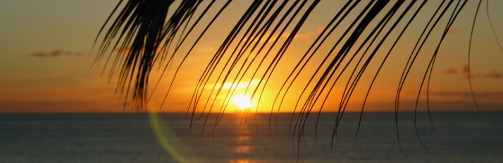 0000014588_header_3