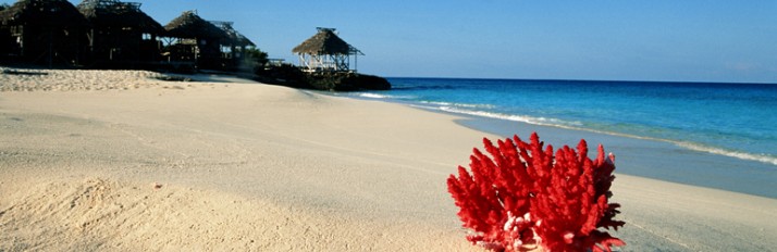 0000014619_header_3