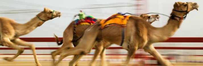 0000019721_header_activities2