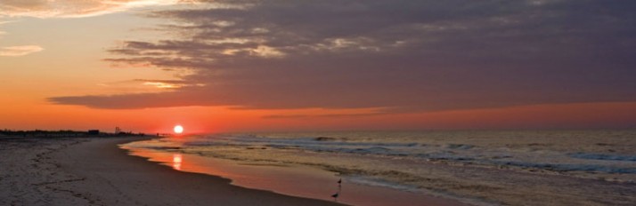 0000031224_header_1
