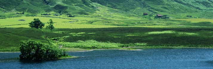 0000013737_header2