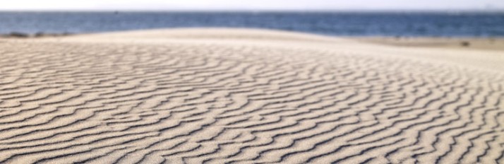 0000013715_header2