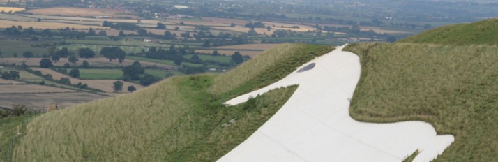 0000039391_Wilt_Header_Eat_770x250