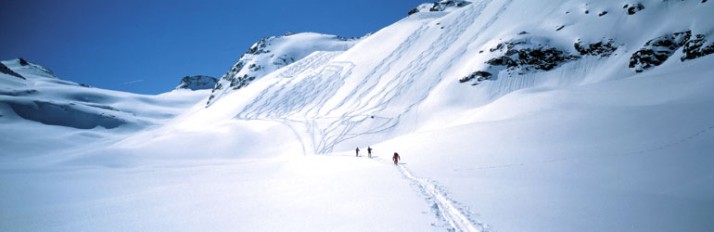 0000022066_Activities_header
