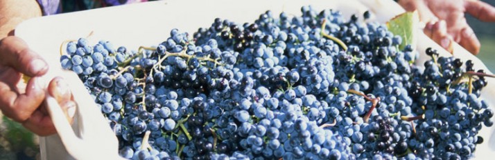 0000019150_Eatingdrinking_header