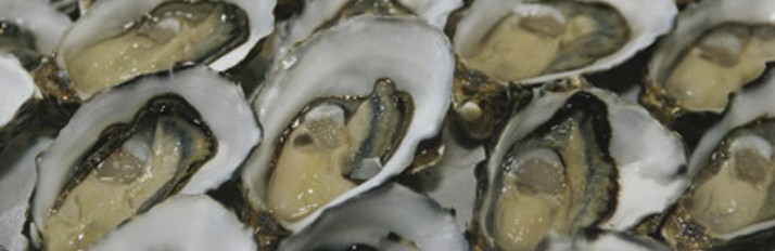0000036026_Brit_FoodHeader_770x250