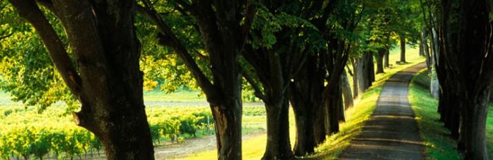 0000033909_header2