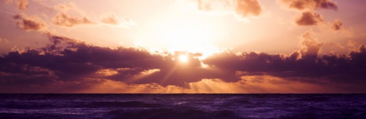 0000017306_Header_activities