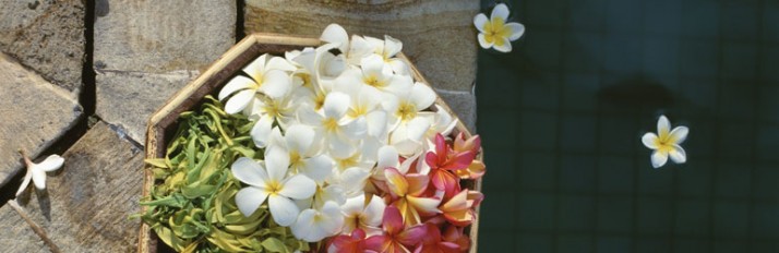 0000015946_header_3
