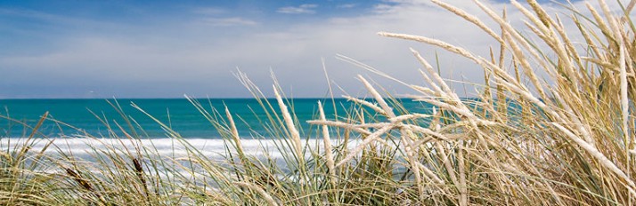 0000029814_Header3