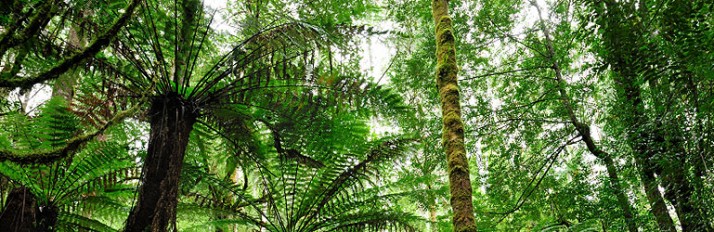 0000033667_Header3iStock_000009234553S