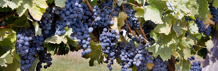 0000033047_Header3iStock_000003056399S
