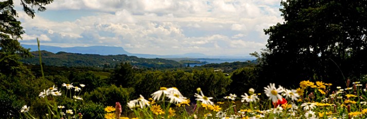 _header-View