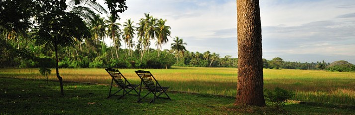 4HeaderDSC_0452