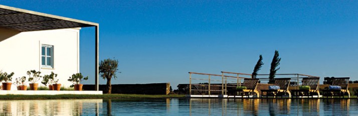 _DSC0018-770x250