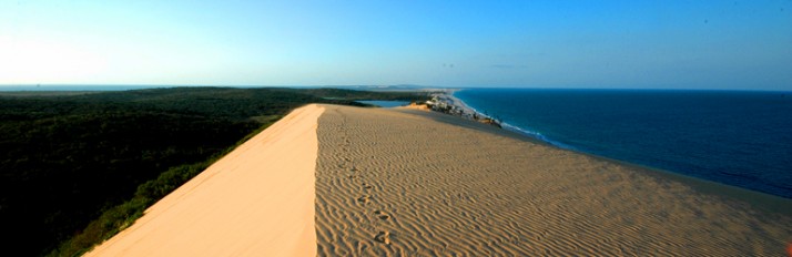 Red-Dune-770x250