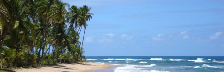 bahia