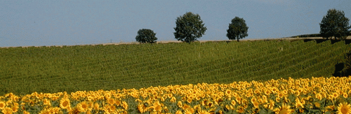 0000007781_Dordogne_Header