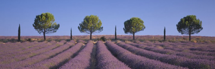 Holidays in Provence, France