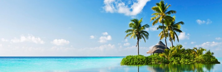 0000019693_header_main