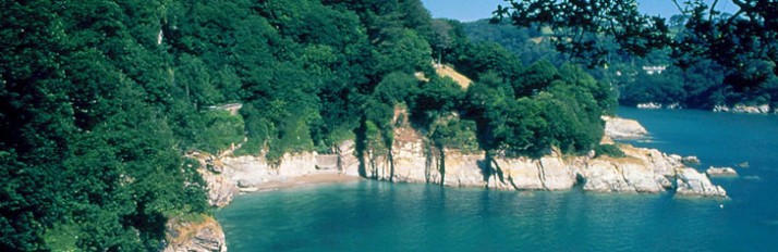 0000005098_Devon-Header
