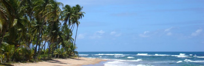 0000020971_main_header