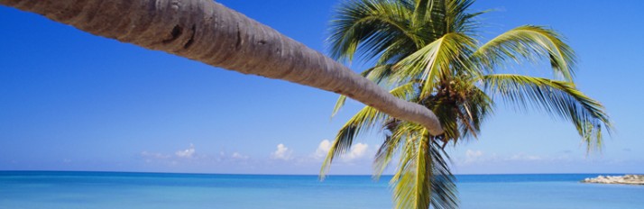 0000014575_header_1