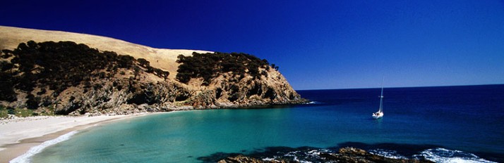 0000030962_LPHeader1