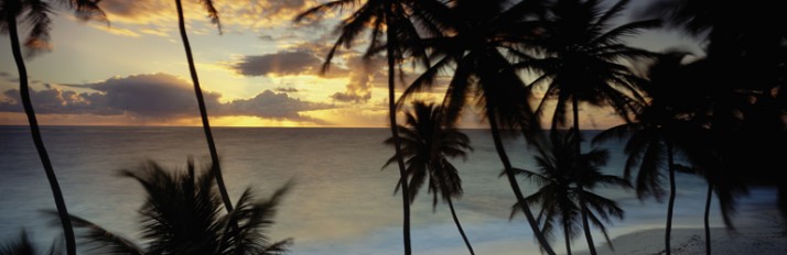 0000014582_header_1