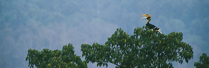 0000038984_Header1HighResGettyng