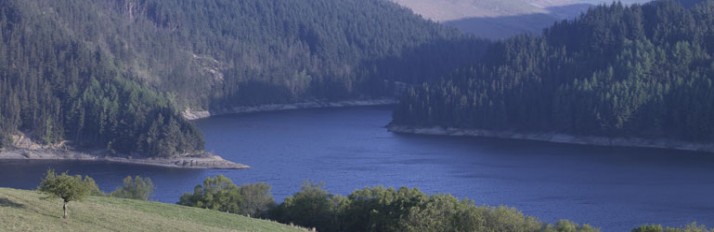 0000013707_header1
