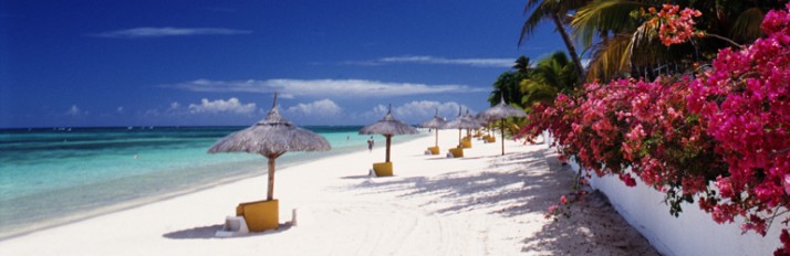 0000014606_header_1