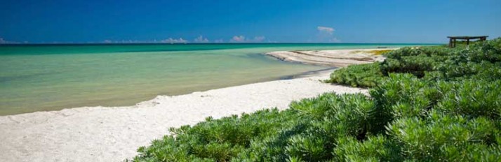 0000035228_RivieraMaya1