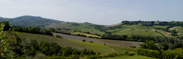 0000037289_Umbria_Header_770x250