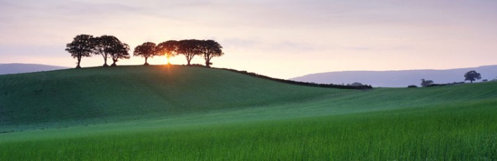 0000019305_Header_main