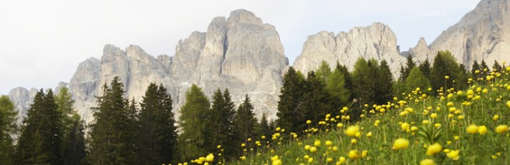 0000011518_header