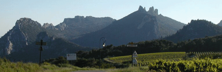 0000007482_Vaucluse_Header2