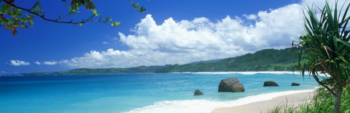 0000015957_header_1