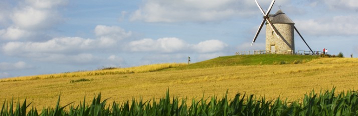0000036020_Brit_Header_770x250