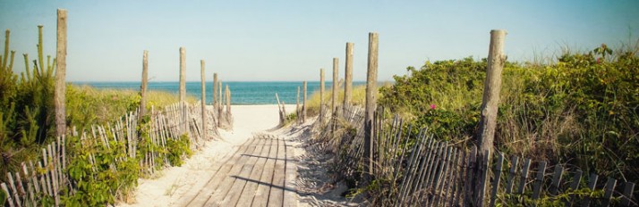 0000051068_86477864-WGOBF-Header