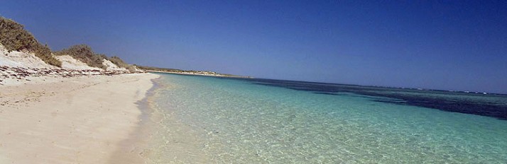 0000033237_HotelHeader1