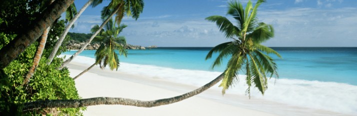 0000014531_header_1