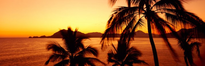 0000019151_Main_header