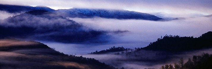 0000033664_Header1LP26629-6