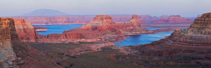 Powell_WGOBF_770x250