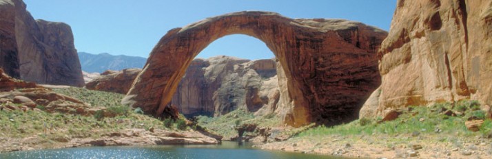 Powell_Header_770x250